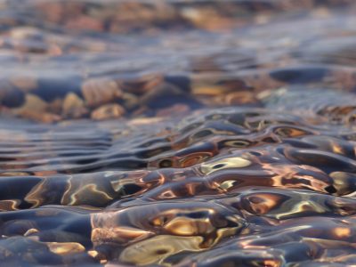 PFAS: AöW fordert eine wirksame Strategie zum Schutz unserer Gewässer