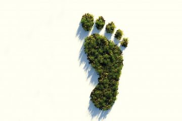 Aufbau eines Nachhaltigkeitscontrollings bei der Stadtentwässerung Stuttgart zur konsequenten Verfolgung der SDGs und Gewährleistung einer nachhaltigen Unternehmensentwicklung