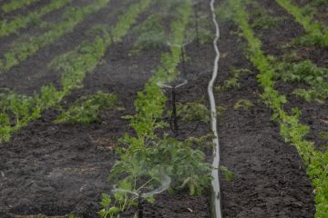 AöW schlägt GWE GmbH für den Deutschen Umweltpreis 2024 vor