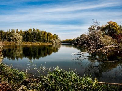 AöW-Stellungnahme zur Weiterentwicklung des Aktionsprogramms Natürlicher Klimaschutz